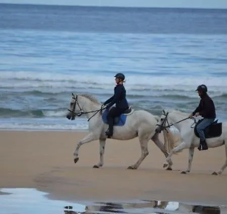 Ocean View Appartement *