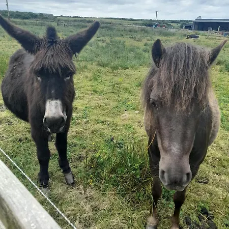 Ocean View Appartement Quilty