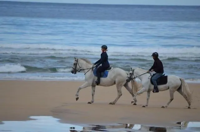 Ocean View Apartment *