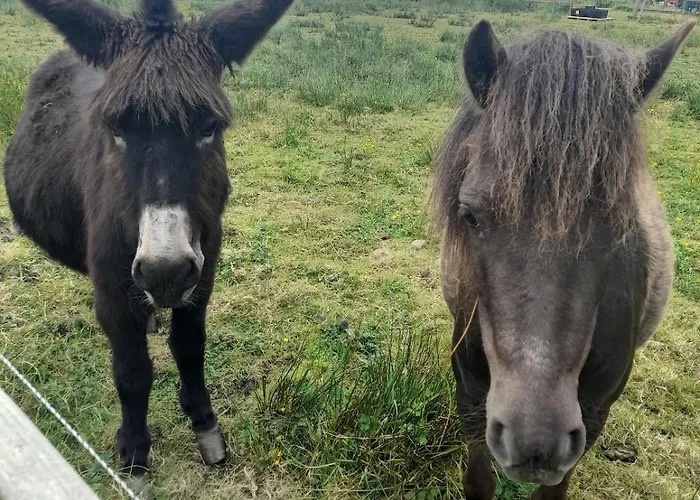 Ocean View Apartment Quilty